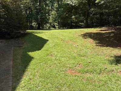 Lawn care service in Athens, 35614