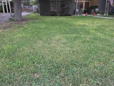 Lawn care service in San Antonio, 78213