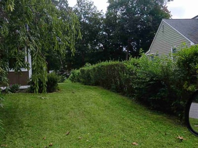 Lawn care service in Auburn, 01501