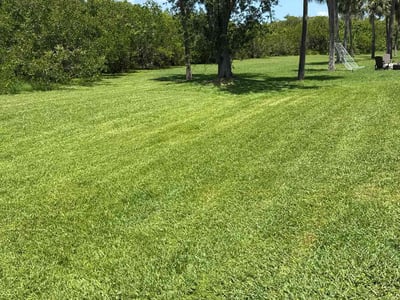 Lawn care service in Tampa, 33615