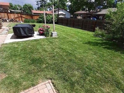 Lawn care service in Lakewood, 80226