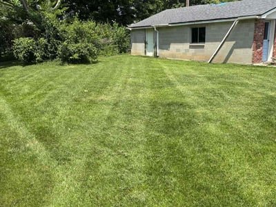 Lawn care service in Louisville, 40228