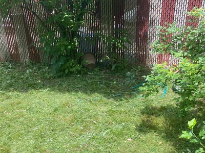 Lawn care service in Brooklyn, 11207