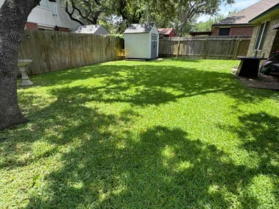 Lawn care service in Cedar Park, 78613