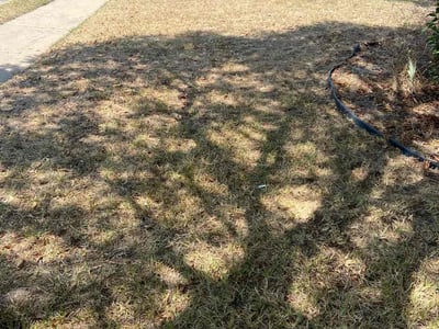 Lawn care service in , 