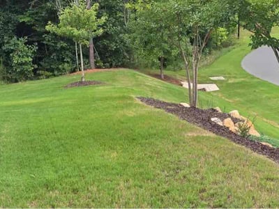 Lawn care service in Chapel Hill, 27516