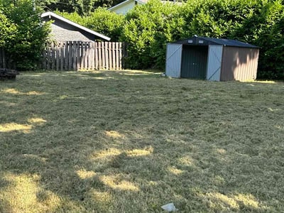 Lawn care service in Bremerton, 98311