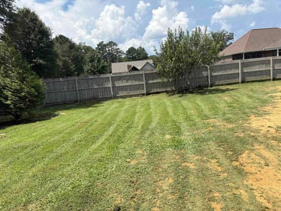 Lawn care service in Gadsden, 35901