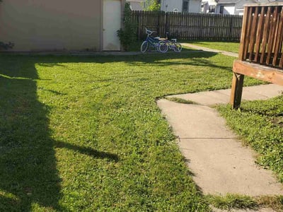 Lawn care service in Hammond, 46324