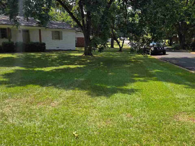 Lawn care service in Tuscaloosa, 35405