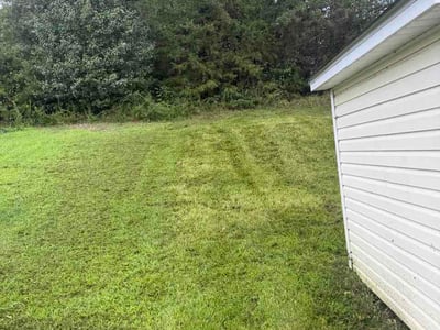 Lawn care service in East Flat Rock, 28726