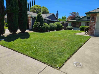 Lawn care service in Roseville, 95747