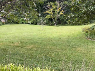 Lawn care service in Essex, 21221