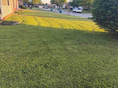 Lawn care service in Bentonville, 72712