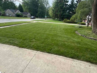 Lawn care service in Westlake, 44145