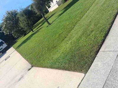 Lawn care service in St. Augustine, 32084