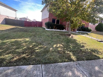 Lawn care service in Mesquite, 75181