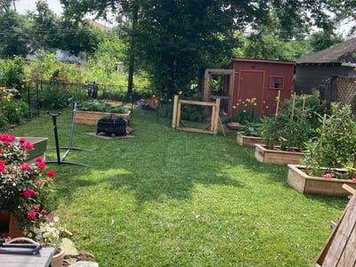 Lawn care service in Baltimore, 21214