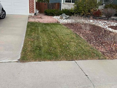 Lawn care service in Castle Rock, 80104