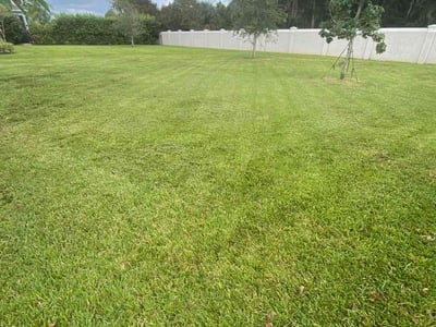 Lawn care service in St. Augustine, 32095