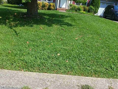 Lawn care service in Clarksville, 37042