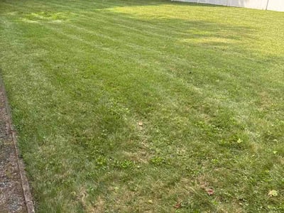 Lawn care service in Fair Lawn, 07410