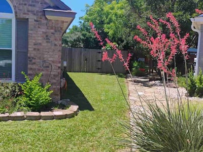 Lawn care service in Austin, 78748