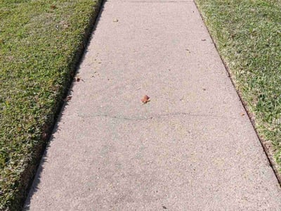 Lawn care service in Sugar Land, 77478