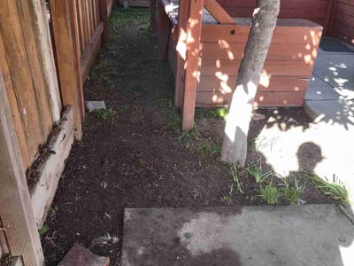 Lawn care service in Modesto, 95358