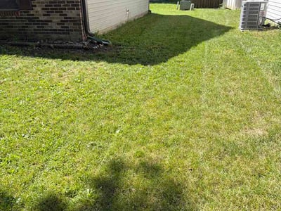 Lawn care service in Indianapolis, 46234