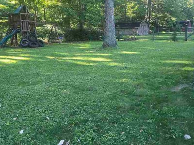 Lawn care service in North Olmsted, 44070
