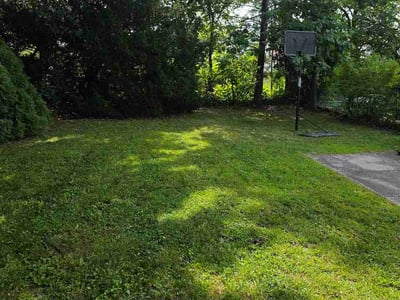 Lawn care service in Newark, 07106