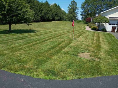 Lawn care service in Slingerlands, 12159