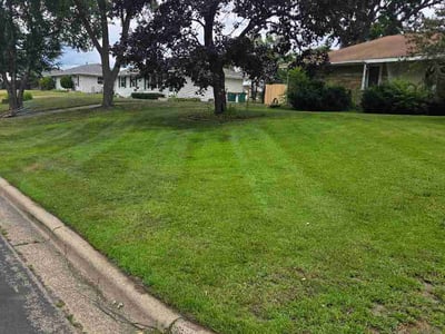 Lawn care service in Minneapolis, 55431