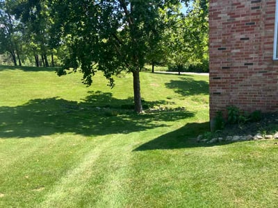 Lawn care service in Louisville, 40245