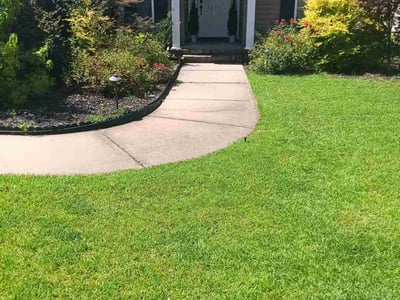 Lawn care service in Florence, 29501