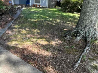 Lawn care service in Baton Rouge, 70816