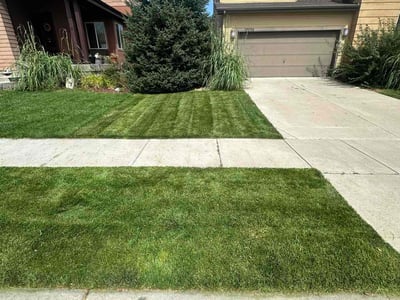 Lawn care service in Commerce City, 80022