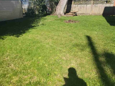Lawn care service in Tacoma, 98408