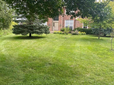 Lawn care service in Long Grove, 60047