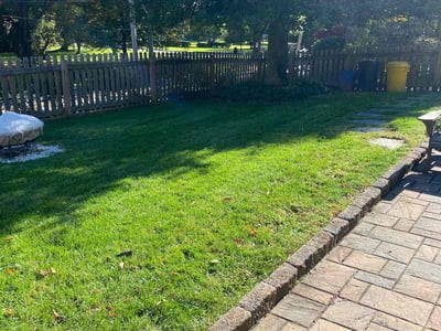 Lawn care service in , 
