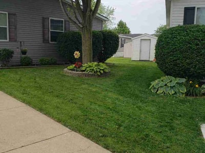 Lawn care service in Clinton Township, 48038