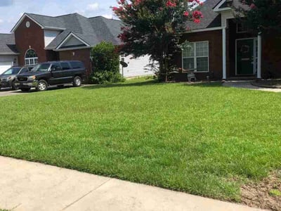 Lawn care service in Warner Robins, 31088