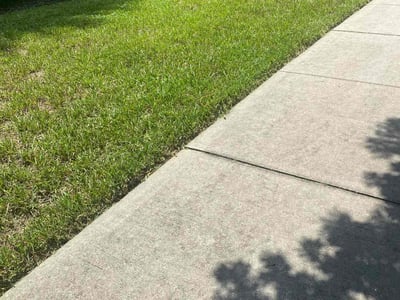 Lawn care service in Ponte Vedra Beach, 32081