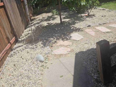 Lawn care service in Sacramento, 95827