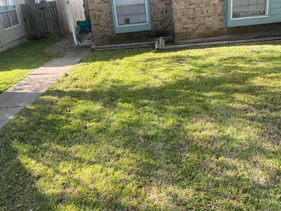 Lawn care service in Austin, 78745