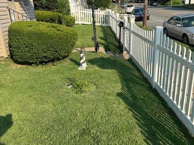 Lawn care service in Philadelphia, 19111
