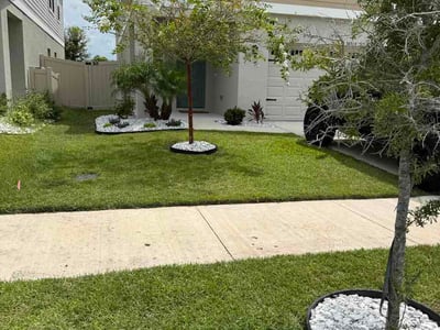 Lawn care service in Wesley Chapel, 33545