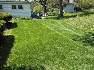 Lawn care service in Dayton, 45429