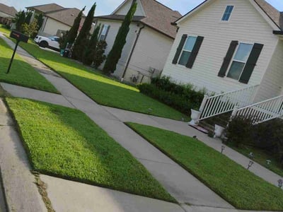 Lawn care service in Chalmette, 70043